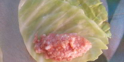 Шаг 10: домашних голубцов