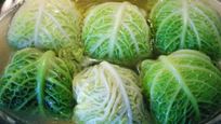 Рецепт Голубцов из савойской капусты