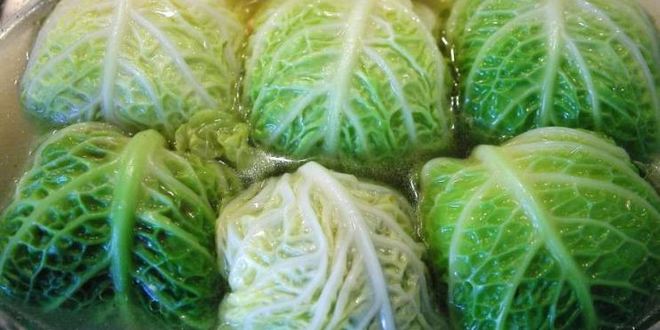 Рецепт голубцов из савойской капусты