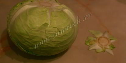 Шаг 3: голубцов с фаршем и рисом