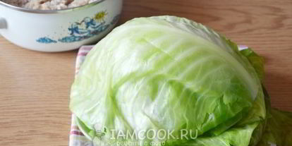 Шаг 10: голубцов в томатном соусе