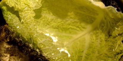 Шаг 1: паровых голубцов