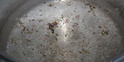 Шаг 3: постных закусочных голубцов с острой морковной начинкой