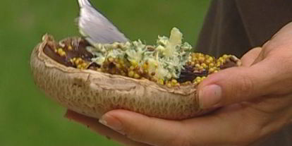 Шаг 4: грибов с горчицей, маслом и петрушкой на гриле