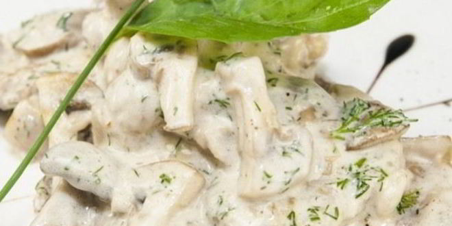 Рецепт грибов в сливочном соусе