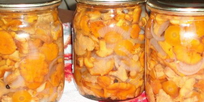 Рецепт Консервированных жареных лисичек