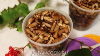 Рецепт Опят в сладком маринаде