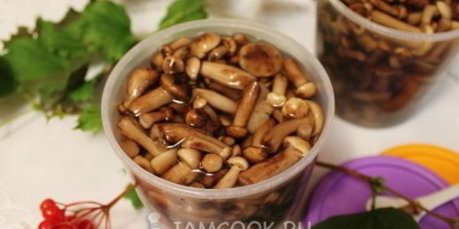 Рецепт опят в сладком маринаде