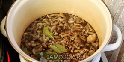 Шаг 5: опят в сладком маринаде