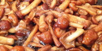 Шаг 2: опят, запеченных в сырном соусе