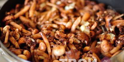 Шаг 2: опят жареных