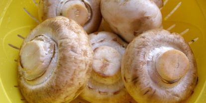 Шаг 1: тушеных грибов в мультиварке