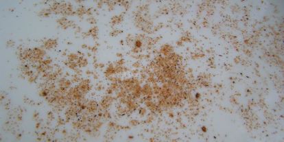 Шаг 4: тушеных грибов в мультиварке