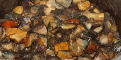 Шаг 1: тушеных моховиков