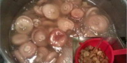 Шаг 1: волнушек, жареных в сметанном соусе