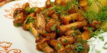 Шаг 5: жареных рыжиков