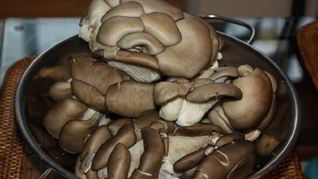 Рецепт Жареных вешенок