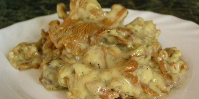 Рецепт гуляша из лисичек