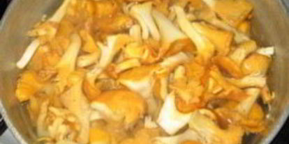 Шаг 1: гуляша из лисичек