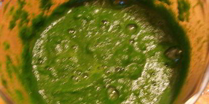 Шаг 13: домашней зеленой лазанья