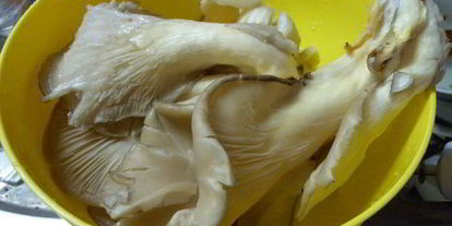 Шаг 1: грибной лазанья