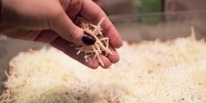 Шаг 3: лазаний из пельменей