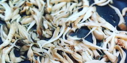 Шаг 4: лазаний с вешенками и адыгейским сыром под соусом бешамель