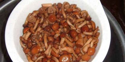 Шаг 25: каннеллонь с мясом и грибами