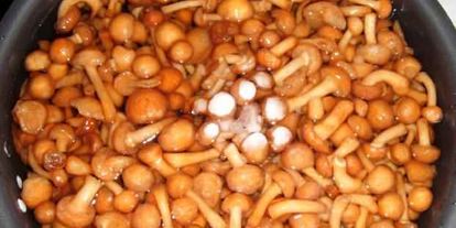 Шаг 15: каннеллонь с мясом и грибами