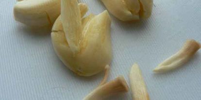 Шаг 13: макарон с шампиньонами под сливочным соусом