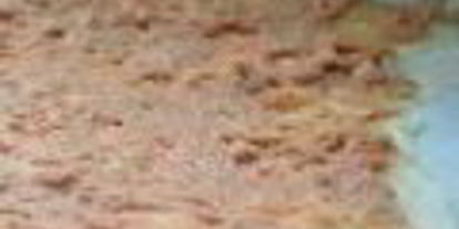 Шаг 1: лже-мантов