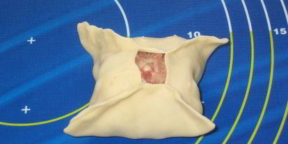 Шаг 8: мантов дружба с тройным мясом