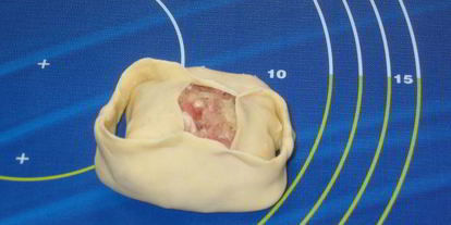 Шаг 9: мантов дружба с тройным мясом