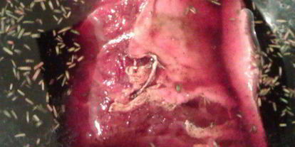 Шаг 2: модной говядины по-французски в пряном вине