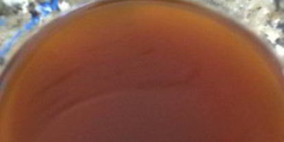 Шаг 3: говядины с брокколи под устричным соусом