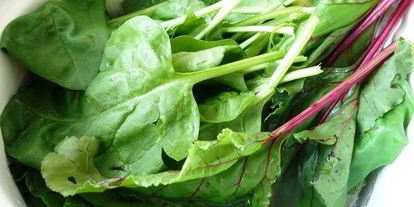 Шаг 1: ботвиньи с жареным карпом