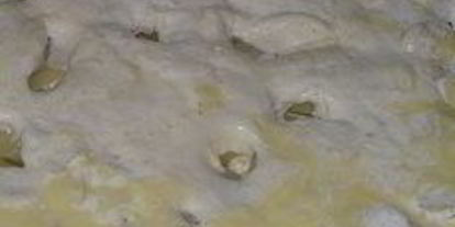 Шаг 3: картофельного гратен без духовки