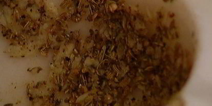 Шаг 4: запеченной тыквы с оливками и фетой