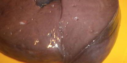 Шаг 1: говяжьей печени с яблоками и луком по-берлински