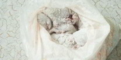 Шаг 1: тушеной печени