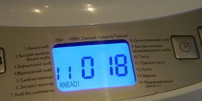 Шаг 2: пельменного теста в хлебопечке