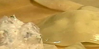 Шаг 5: жареных эбей-вонтонов