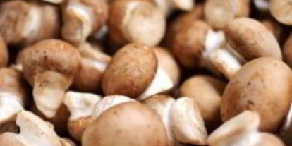 Шаг 2: рагу из оленины