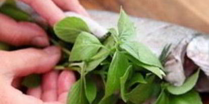 Шаг 2: форели, запеченной с базиликом