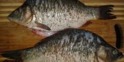 Шаг 1: карпа, запеченного в сметане