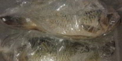 Шаг 4: карпа, запеченного в сметане