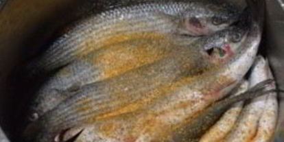 Шаг 1: кефали, жаренной ны сковороде