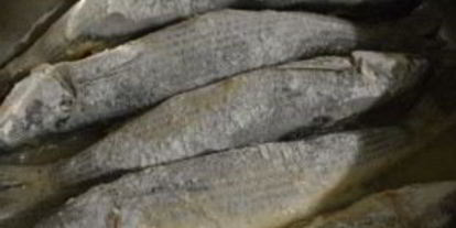 Шаг 3: кефали, жаренной ны сковороде