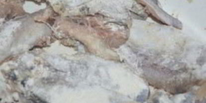 Шаг 2: рыбы, жаренной по-русски