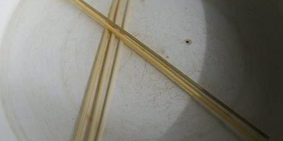 Шаг 5: куриных шашлычков с кунжутом